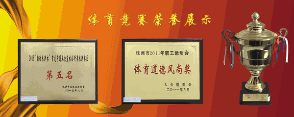 体育竞赛荣誉展示定111111111111